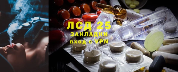 ПСИЛОЦИБИНОВЫЕ ГРИБЫ Баксан