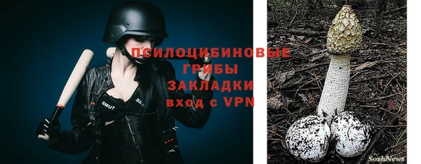 ПСИЛОЦИБИНОВЫЕ ГРИБЫ Баксан