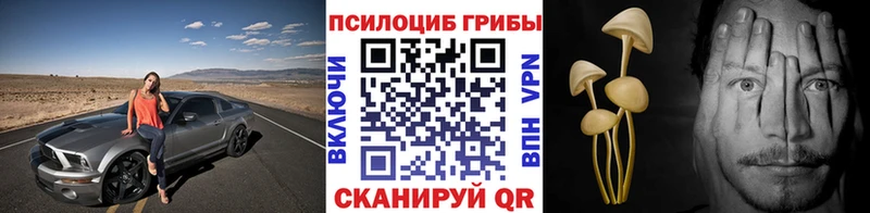 Галлюциногенные грибы GOLDEN TEACHER  Красково 